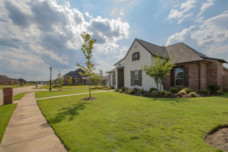 No-Down-Payment Mortgages: Options Beyond VA and USDA